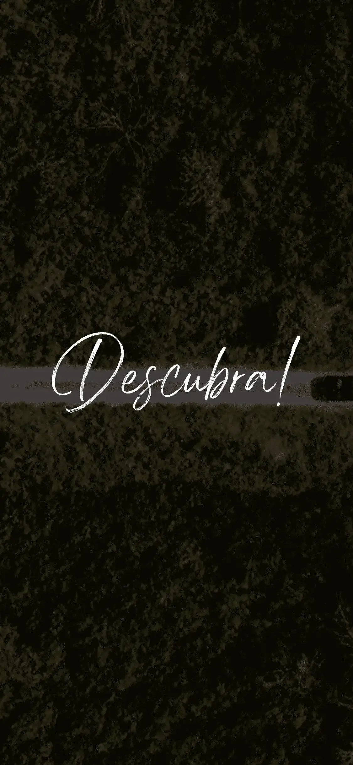 Rural road surrounded by woods with a car driving towards it with the text overlaying the image 'Discover!'.